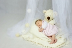 GOSIA-FOTOR-4